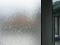 LEAVES Window Film
